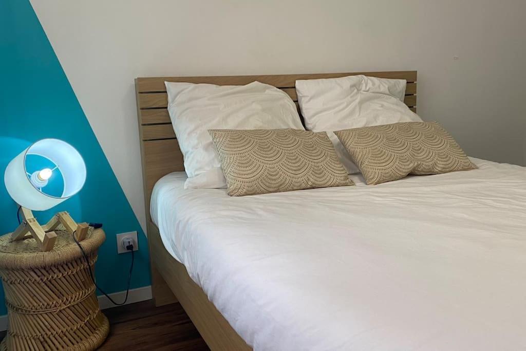 * Logement Haut De Gamme Centre * 佩皮尼昂 外观 照片