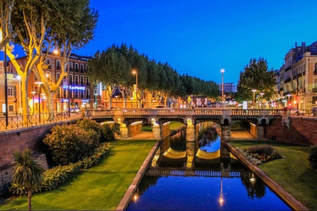 * Logement Haut De Gamme Centre * 佩皮尼昂 外观 照片