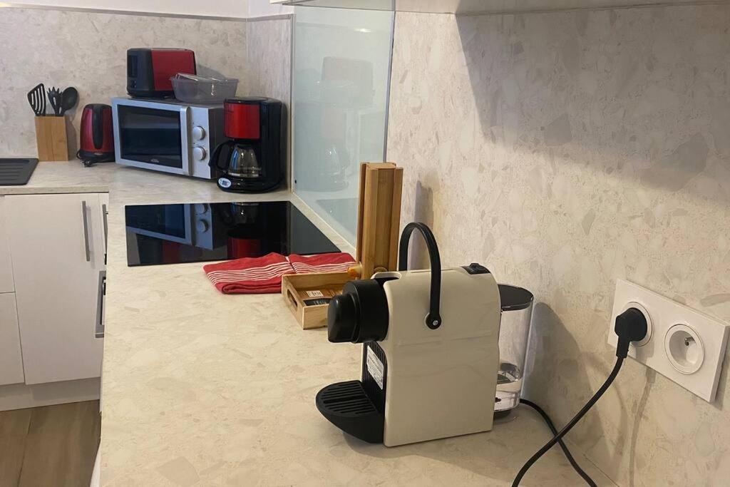 * Logement Haut De Gamme Centre * 佩皮尼昂 外观 照片